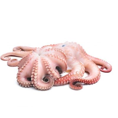 HOBOTNICA OČIŠČENA 1000/2000g