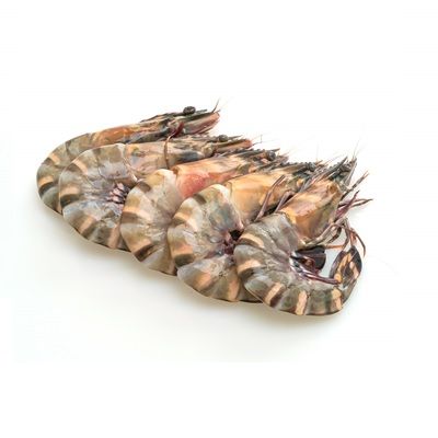 BLACK TIGER KOZICA 1 kg